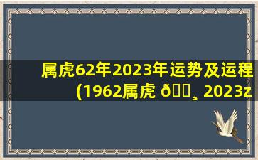 属虎62年2023年运势及运程(1962属虎 🌸 2023zui
危险的一 🕷 个月)